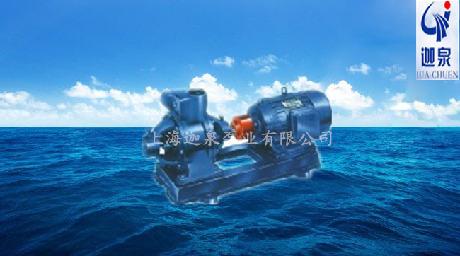 W型雙級(jí)漩渦泵