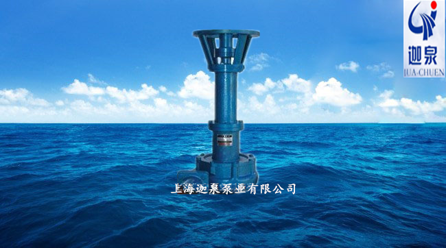 雜質污水渦流泵