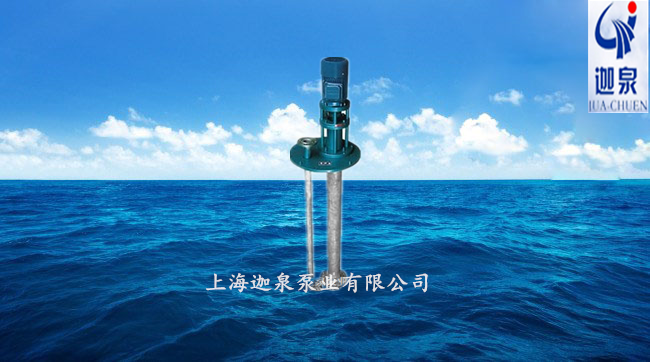 雙管液下式不銹鋼排污泵
